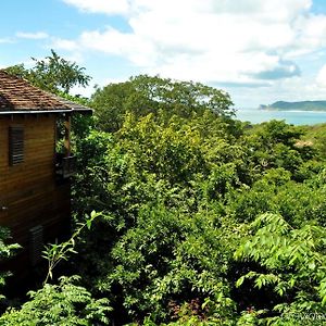 Forest View Tree House